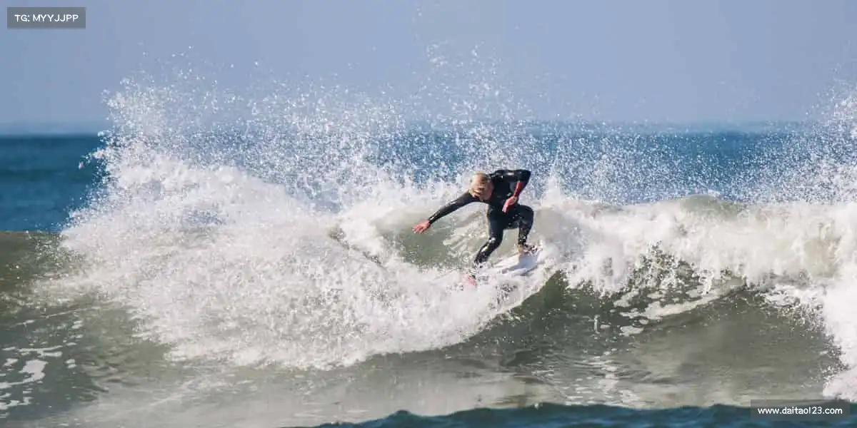 为什么选择我们